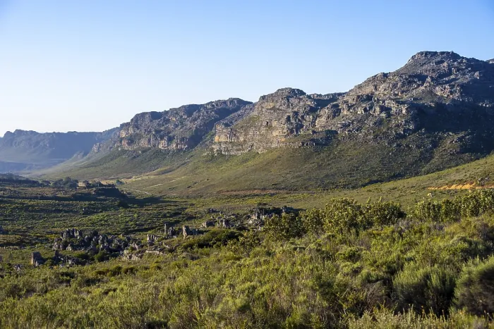 Gerahmter Druck : Landschaft und Berge, Zedernberge Gerahmter Druck : Landschaft und Berge, Zedernberge