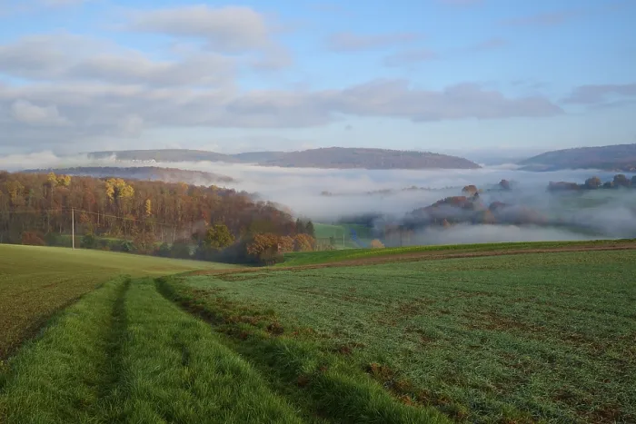 Gerahmter Druck : Landschaft, Pfad, Feld, Wald Gerahmter Druck : Landschaft, Pfad, Feld, Wald