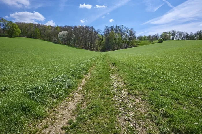 Gerahmter Druck : Landschaft, Pfad, Getreidefeld, niedrige Gebirgskette Gerahmter Druck : Landschaft, Pfad, Getreidefeld, niedrige Gebirgskette