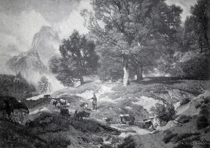 Gerahmter Druck : Landschaft in Ramsau mit Kühen und einem Hirten. Gerahmter Druck : Landschaft in Ramsau mit Kühen und einem Hirten.