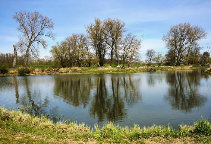 Gerahmter Druck : Landschaft am Fluss Oder im Frühjahr.