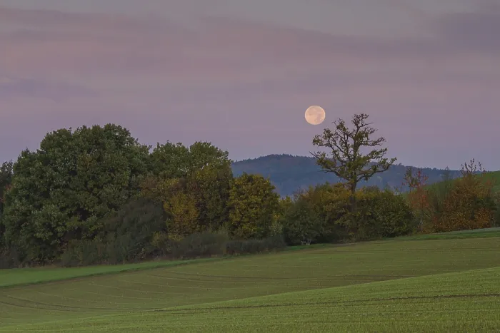 Gerahmter Druck : Landschaft mit abnehmender Mond, Offheim. Gerahmter Druck : Landschaft mit abnehmender Mond, Offheim.