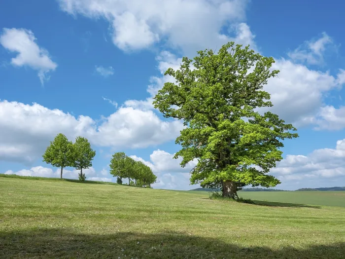 Gerahmter Druck : Landschaft in der Thüringer Rhön Gerahmter Druck : Landschaft in der Thüringer Rhön