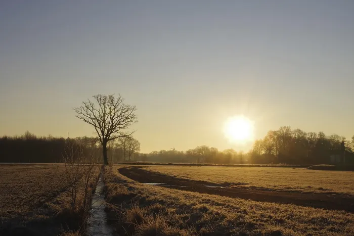 Gerahmter Druck : Landschaft, Baum, Sonne, Winter, Lichtstimmung Gerahmter Druck : Landschaft, Baum, Sonne, Winter, Lichtstimmung