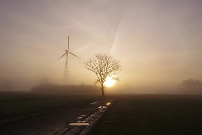 Gerahmter Druck : Landschaft, Baum, Windkraftwerk Gerahmter Druck : Landschaft, Baum, Windkraftwerk