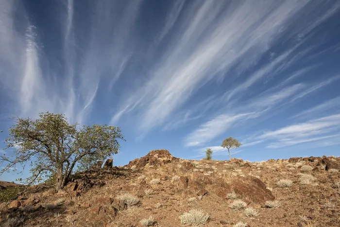 Gerahmter Druck : Landschaft mit Bäumen und Wolken. Gerahmter Druck : Landschaft mit Bäumen und Wolken.