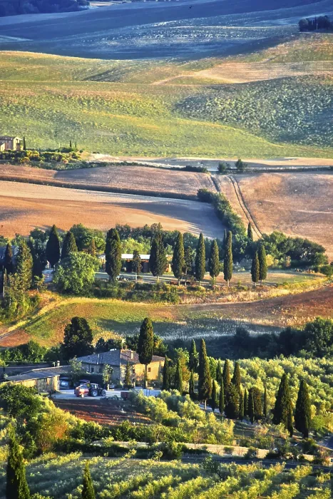 Gerahmter Druck : Landschaftsblick auf den Val d'Orcia. Gerahmter Druck : Landschaftsblick auf den Val d'Orcia.