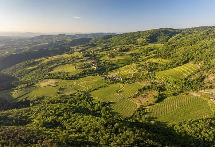 Gerahmter Druck : Landschaft mit Weinbergen und Wäldern. Gerahmter Druck : Landschaft mit Weinbergen und Wäldern.