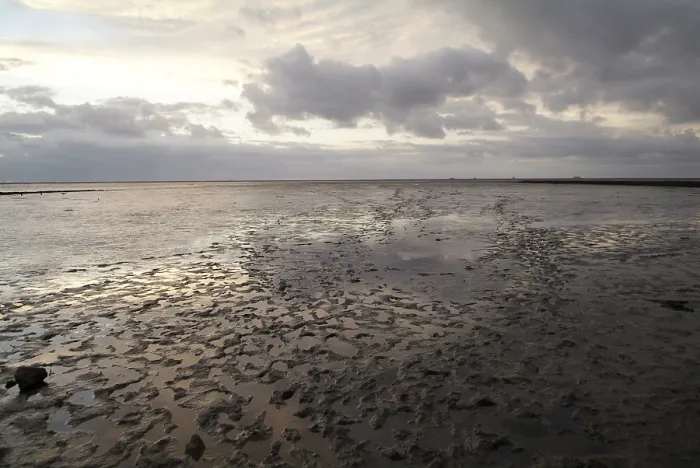 Gerahmter Druck : Landschaft am Wasser. Gerahmter Druck : Landschaft am Wasser.
