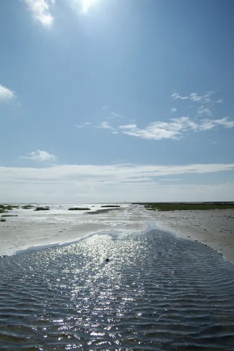 Gerahmter Druck : Landschaft am Wasser. Gerahmter Druck : Landschaft am Wasser.