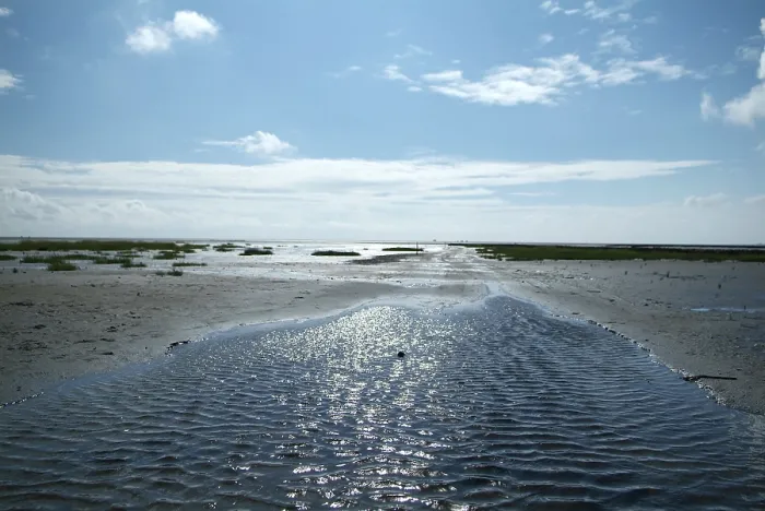Gerahmter Druck : Landschaft am Wasser. Gerahmter Druck : Landschaft am Wasser.