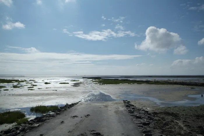 Gerahmter Druck : Landschaft am Wasser. Gerahmter Druck : Landschaft am Wasser.