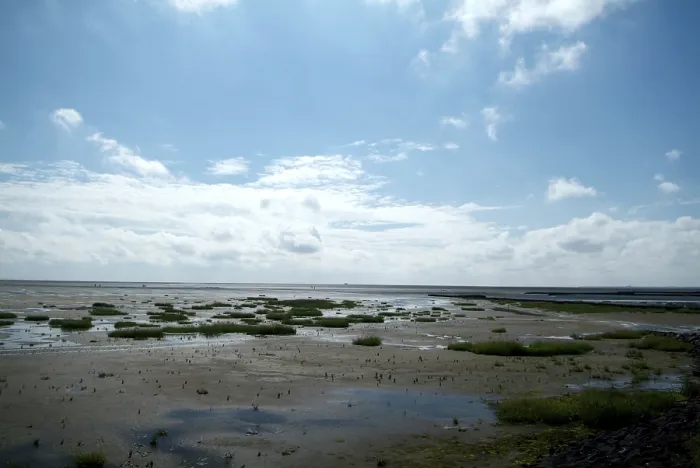 Gerahmter Druck : Landschaft am Wasser. Gerahmter Druck : Landschaft am Wasser.