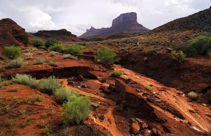 Gerahmter Druck : Donnerwolken über einem Flussbett, Utah. Gerahmter Druck : Donnerwolken über einem Flussbett, Utah.