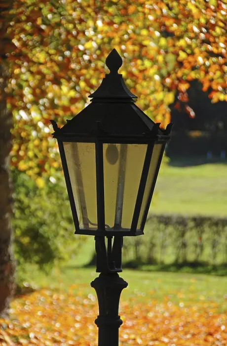 Gerahmter Druck : Lampe vor einem herbstlich gefärbten Laubbaum. Gerahmter Druck : Lampe vor einem herbstlich gefärbten Laubbaum.