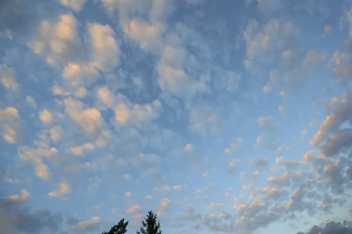 Gerahmter Druck : Große weiche Wolken (Altocumulus) Gerahmter Druck : Große weiche Wolken (Altocumulus)