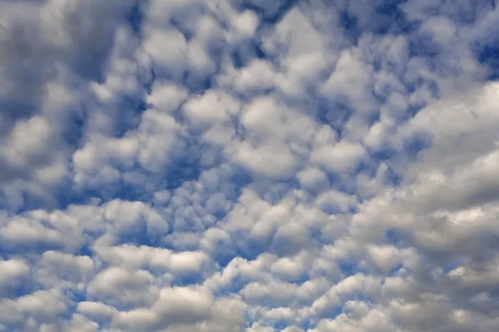 Gerahmter Druck : Große weiche Wolken (Altocumulus) Gerahmter Druck : Große weiche Wolken (Altocumulus)