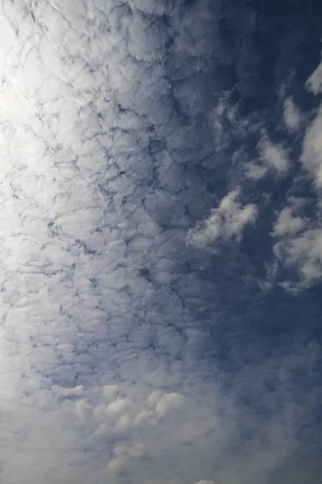 Gerahmter Druck : Große weiche Wolken (Altocumulus). Gerahmter Druck : Große weiche Wolken (Altocumulus).