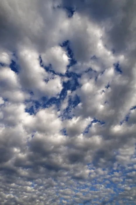 Gerahmter Druck : Große weiche Wolken (Altocumulus) Gerahmter Druck : Große weiche Wolken (Altocumulus)