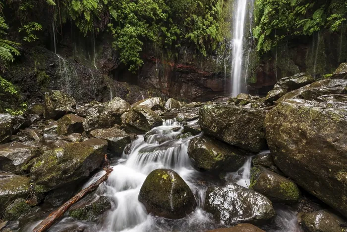 Gerahmter Druck : Blick auf den Wasserfall in der 25 Fontes-Basis, Levada das 25 Fontes (PR 6), Rabacal-Naturreservat, Madeira, Portugal Gerahmter Druck : Blick auf den Wasserfall in der 25 Fontes-Basis, Levada das 25 Fontes (PR 6), Rabacal-Naturreservat, Madeira, Portugal