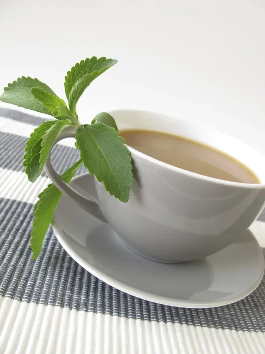Gerahmter Druck : Kaffee mit Stevia Gerahmter Druck : Kaffee mit Stevia