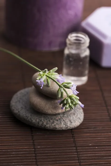 Gerahmter Druck : Lavendel-Spa Gerahmter Druck : Lavendel-Spa