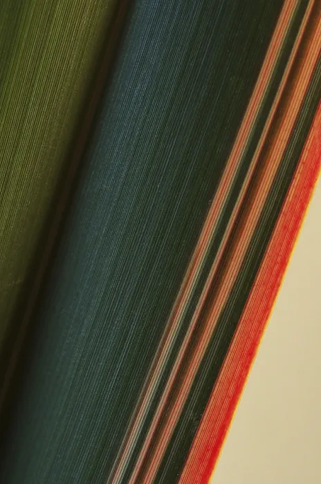 Gerahmter Druck : Blatt, Farbe, Strukturen Gerahmter Druck : Blatt, Farbe, Strukturen