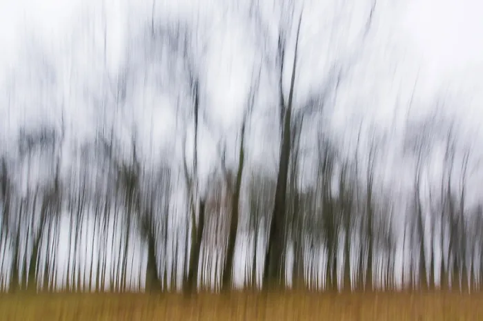Gerahmter Druck : Blattlose Bäume, Herbststimmung, Thüringen, Deutschland. Gerahmter Druck : Blattlose Bäume, Herbststimmung, Thüringen, Deutschland.