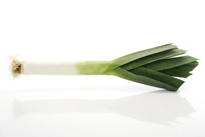 Gerahmter Druck : Leek Gerahmter Druck : Leek