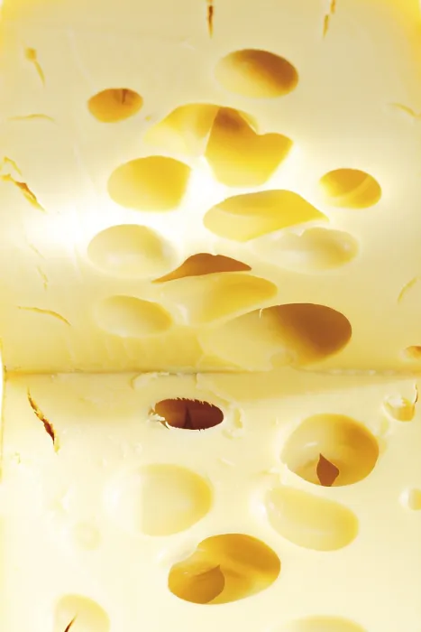 Gerahmter Druck : Leerdammer-Käse Gerahmter Druck : Leerdammer-Käse