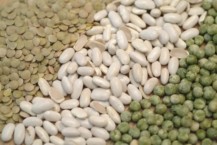 Gerahmter Druck : Legumes Gerahmter Druck : Legumes