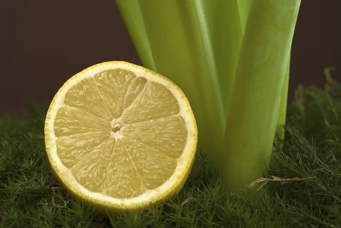 Gerahmter Druck : Lemon Gerahmter Druck : Lemon
