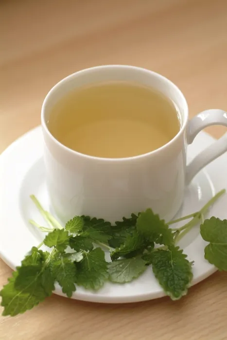 Gerahmter Druck : Lemonbalmtea Gerahmter Druck : Lemonbalmtea
