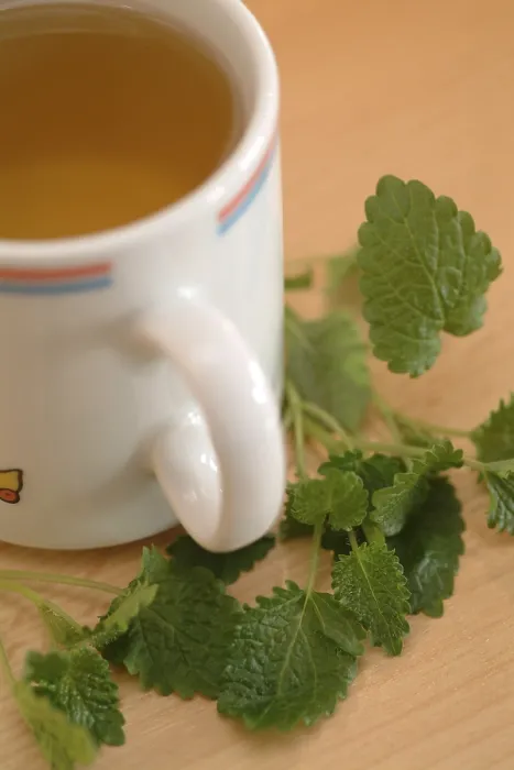 Gerahmter Druck : Lemonbalmtea Gerahmter Druck : Lemonbalmtea