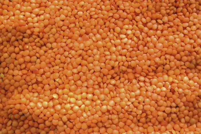 Gerahmter Druck : Lentil Gerahmter Druck : Lentil