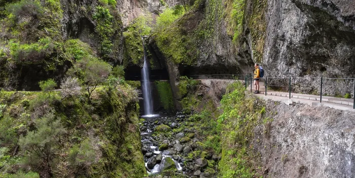 Gerahmter Druck : Levada do Moinho, Wasserfall in einer Schlucht Gerahmter Druck : Levada do Moinho, Wasserfall in einer Schlucht