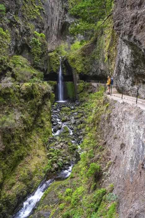 Gerahmter Druck : Levada do Moinho, Wasserfall in einer Schlucht. Gerahmter Druck : Levada do Moinho, Wasserfall in einer Schlucht.
