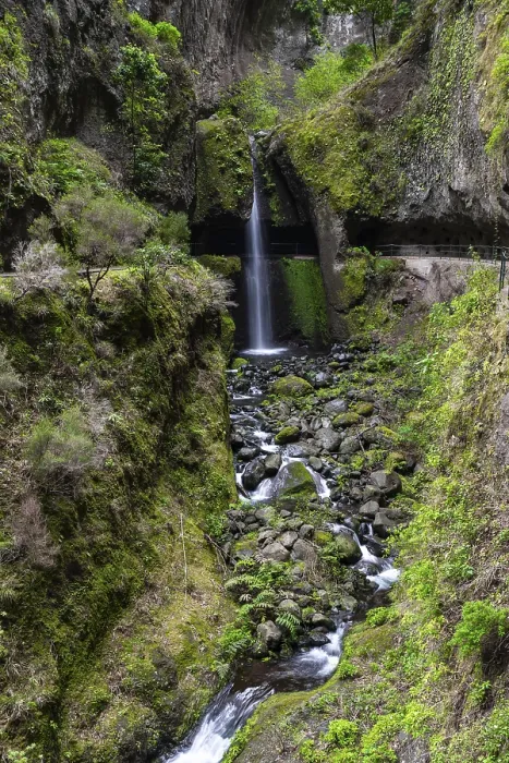 Gerahmter Druck : Levada do Moinho, Wasserfall in einer Schlucht Gerahmter Druck : Levada do Moinho, Wasserfall in einer Schlucht