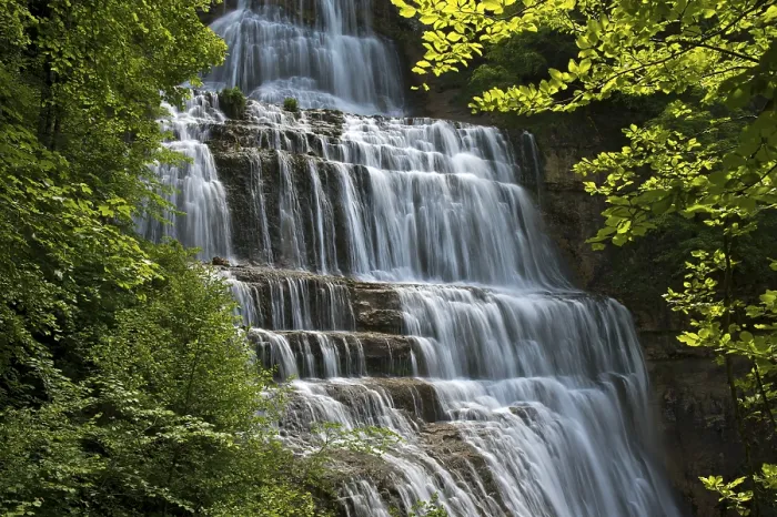 Gerahmter Druck : Der Schmetterlingsfall. Gerahmter Druck : Der Schmetterlingsfall.