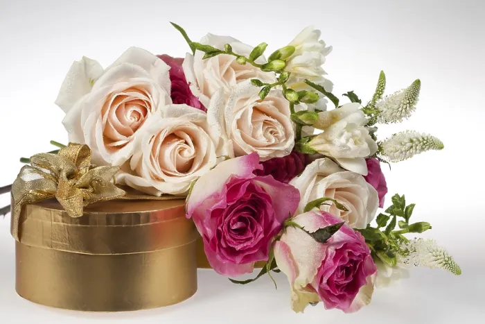 Gerahmter Druck : Stillleben mit Blumen auf einem Studiohintergrund. Gerahmter Druck : Stillleben mit Blumen auf einem Studiohintergrund.
