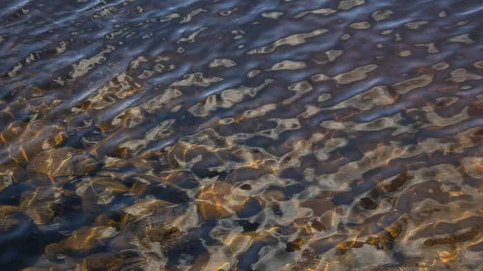 Gerahmter Druck : Lichtreflexe auf einer welligen Wasseroberfläche. Gerahmter Druck : Lichtreflexe auf einer welligen Wasseroberfläche.