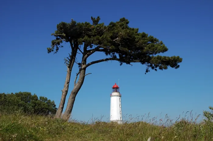 Gerahmter Druck : Lighthouse Gerahmter Druck : Lighthouse