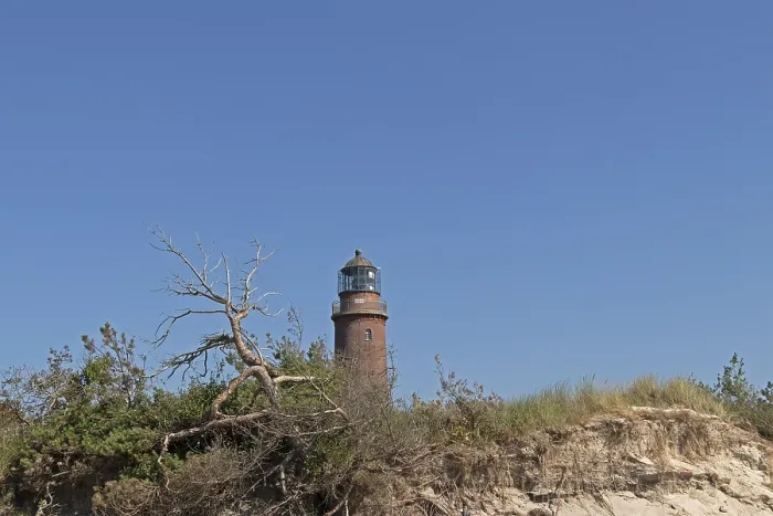 Gerahmter Druck : Leuchtturm, Strand, toter Baum, Klippe. Gerahmter Druck : Leuchtturm, Strand, toter Baum, Klippe.