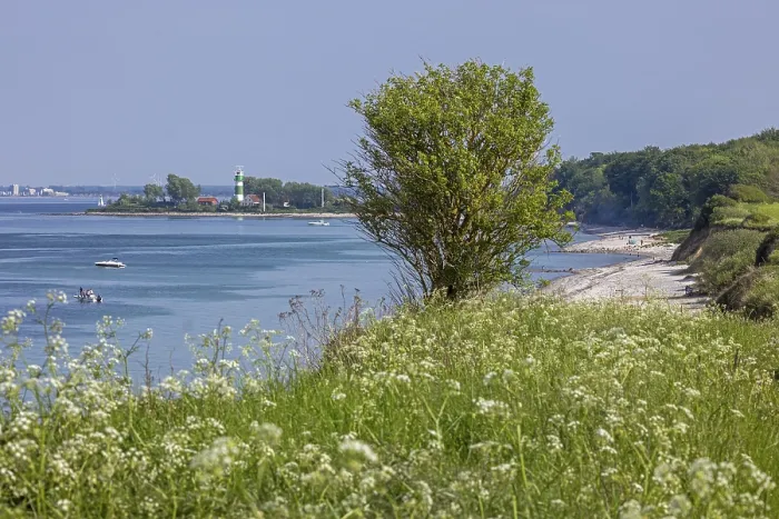 Gerahmter Druck : Leuchtturm, Strand, Baum, Bulk Gerahmter Druck : Leuchtturm, Strand, Baum, Bulk
