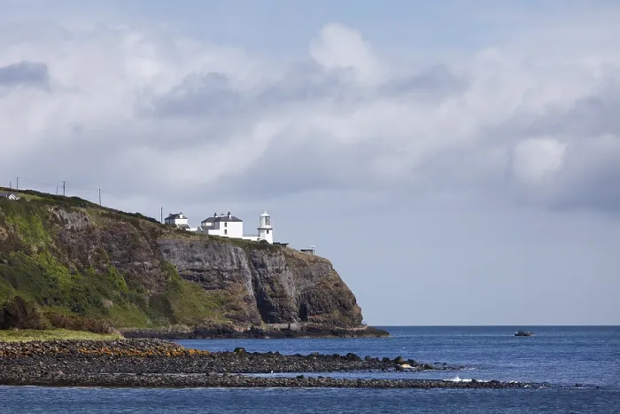 Gerahmter Druck : Leuchtturm am Blackhead, Whitehead Gerahmter Druck : Leuchtturm am Blackhead, Whitehead