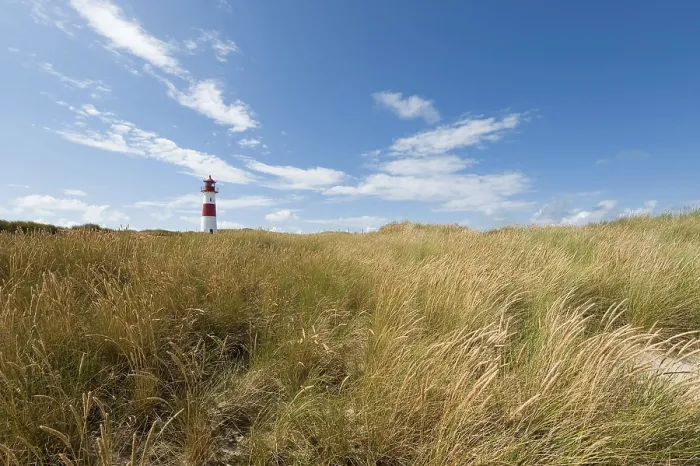 Gerahmter Druck : Leuchtturm mit blauem Himmel bei Ellenbogen. Gerahmter Druck : Leuchtturm mit blauem Himmel bei Ellenbogen.