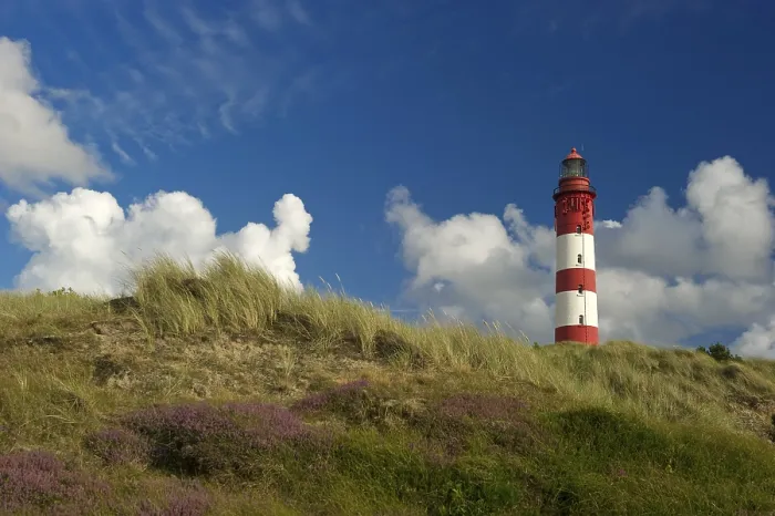 Gerahmter Druck : Leuchtturm in den Dünen, Amrum. Gerahmter Druck : Leuchtturm in den Dünen, Amrum.