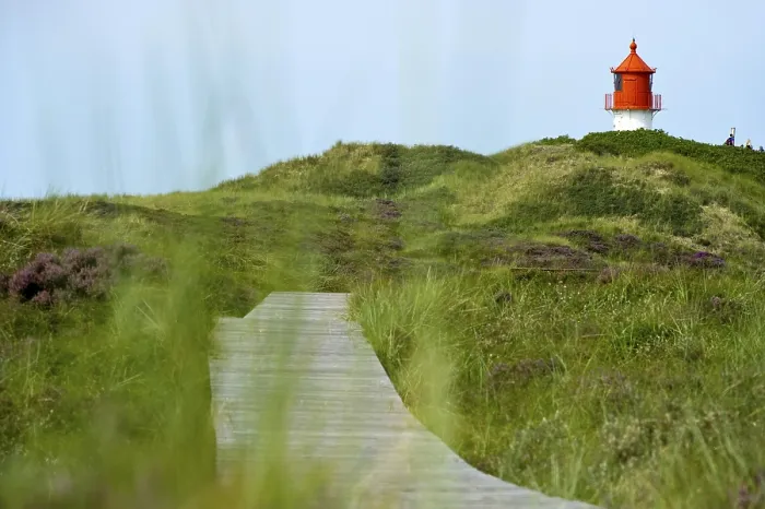 Gerahmter Druck : Leuchtturm in den Dünen, Amrum. Gerahmter Druck : Leuchtturm in den Dünen, Amrum.