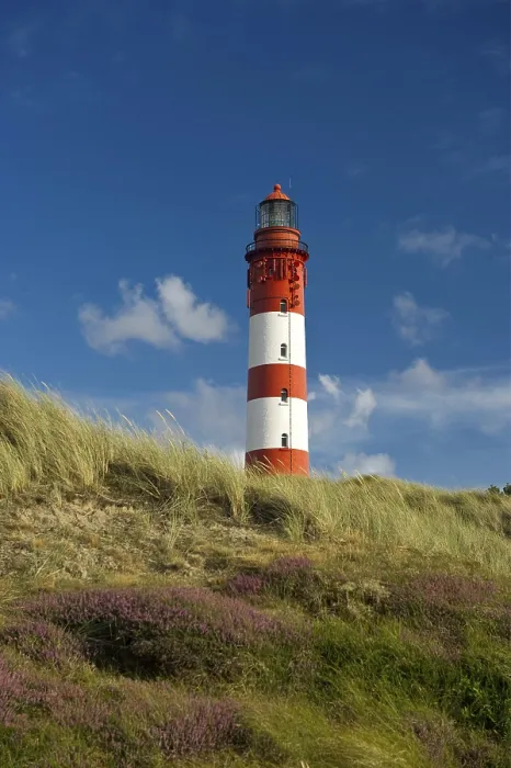 Gerahmter Druck : Leuchtturm in den Dünen, Amrum. Gerahmter Druck : Leuchtturm in den Dünen, Amrum.