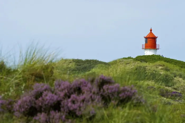 Gerahmter Druck : Leuchtturm in den Dünen, Amrum. Gerahmter Druck : Leuchtturm in den Dünen, Amrum.